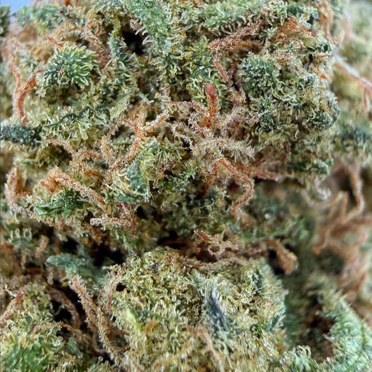 AK-47 – 12% – Green-House France