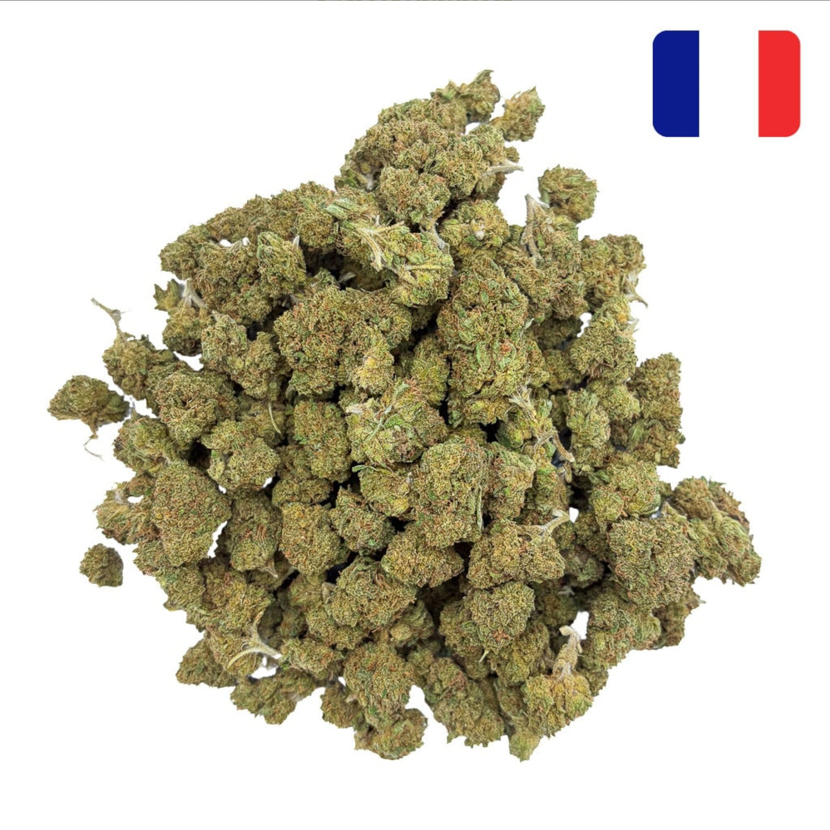 Blueberry Diesel – 11% – Green-House France