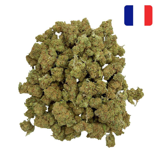 AK-47 – 12% – Green-House France
