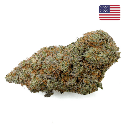 ButterCream Gelato  – 14% – Indoor Cali